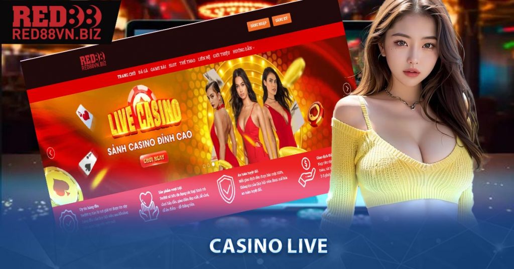 Casino liveCasino live